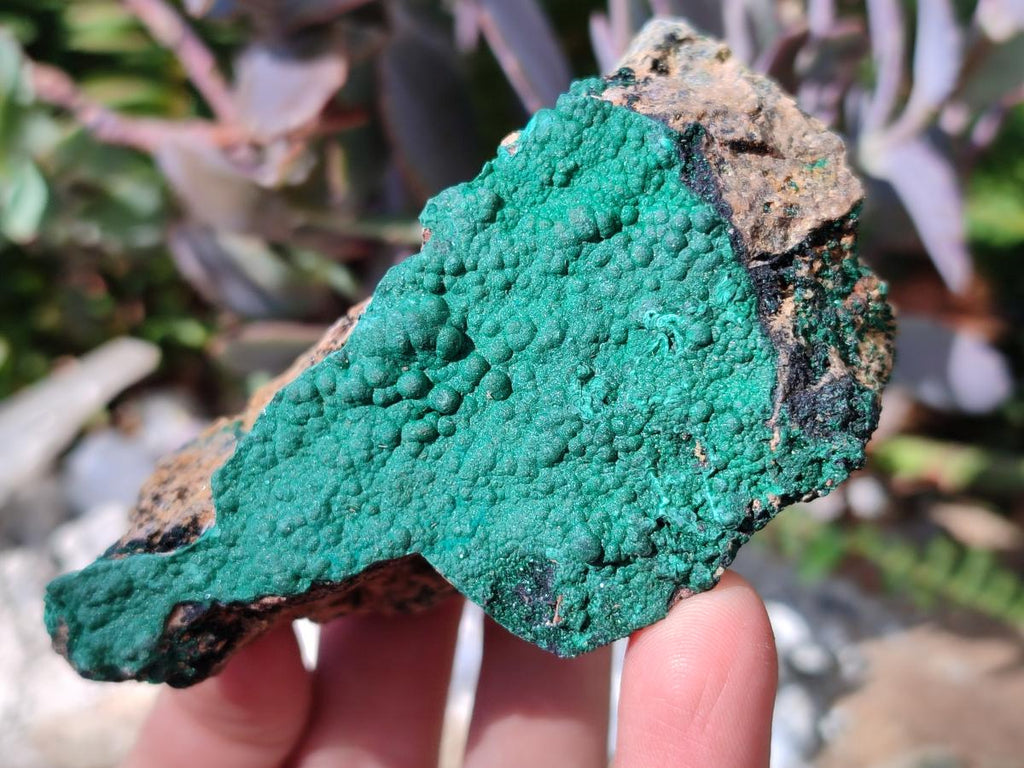 Natural Botryoidal Crystalline Malachite Specimens x 6 From Tenke Fungurume, Congo - Toprock Gemstones and Minerals 