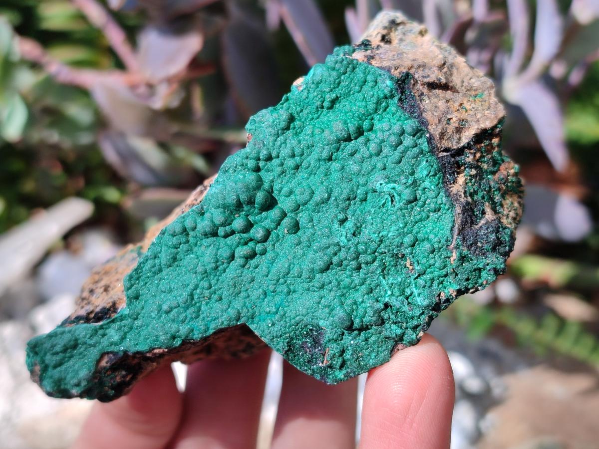 Natural Botryoidal Crystalline Malachite Specimens x 6 From Tenke Fungurume, Congo - Toprock Gemstones and Minerals 