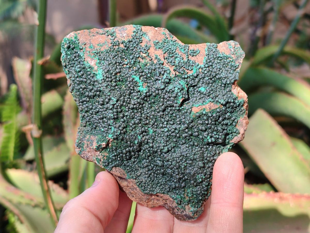 Natural Botryoidal Crystalline Malachite Specimens x 6 From Tenke Fungurume, Congo - Toprock Gemstones and Minerals 