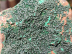 Natural Botryoidal Crystalline Malachite Specimens x 6 From Tenke Fungurume, Congo - Toprock Gemstones and Minerals 