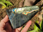 Polished Spectrolite Labradorite Standing Display Pieces x 3 From Madagascar - Toprock Gemstones and Minerals 