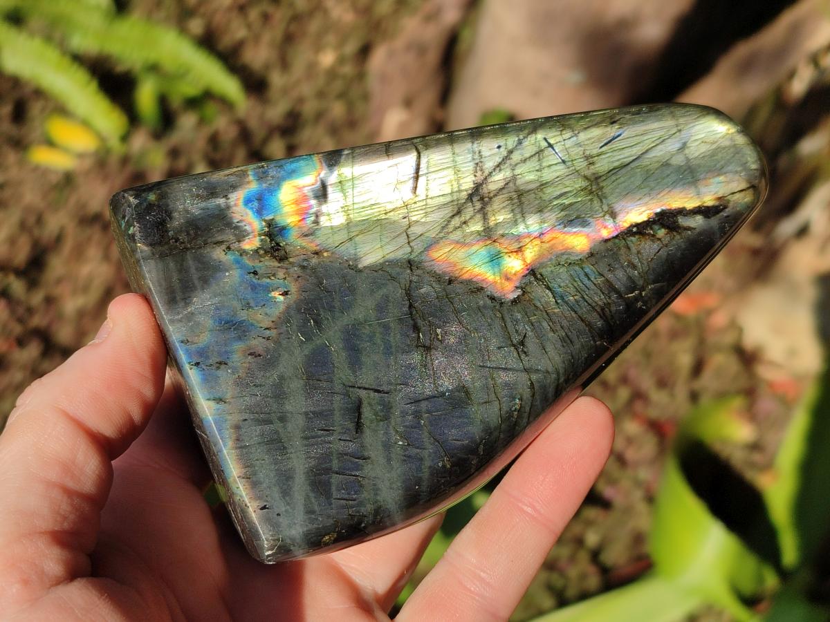 Polished Spectrolite Labradorite Standing Display Pieces x 3 From Madagascar - Toprock Gemstones and Minerals 