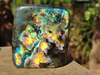Polished Spectrolite Labradorite Standing Display Pieces x 3 From Madagascar - Toprock Gemstones and Minerals 