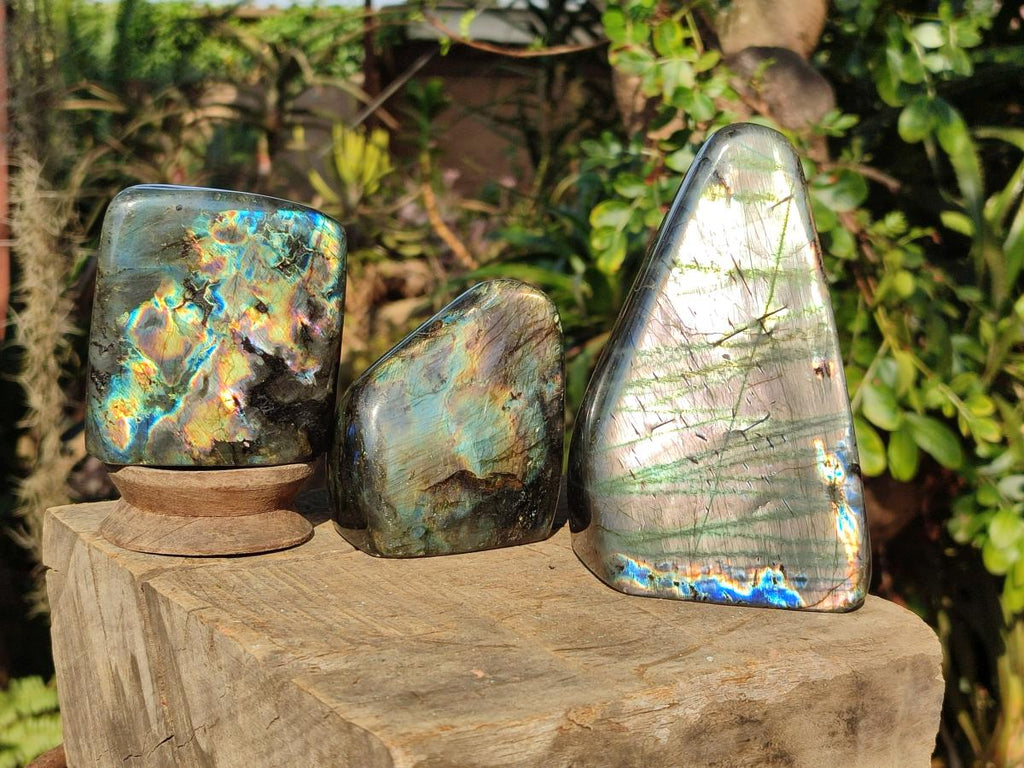 Polished Spectrolite Labradorite Standing Display Pieces x 3 From Madagascar - Toprock Gemstones and Minerals 