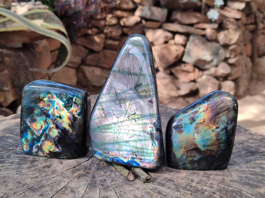 Polished Spectrolite Labradorite Standing Display Pieces x 3 From Madagascar - Toprock Gemstones and Minerals 