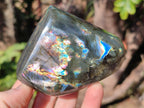 Polished Spectrolite Labradorite Standing Display Pieces x 3 From Madagascar - Toprock Gemstones and Minerals 