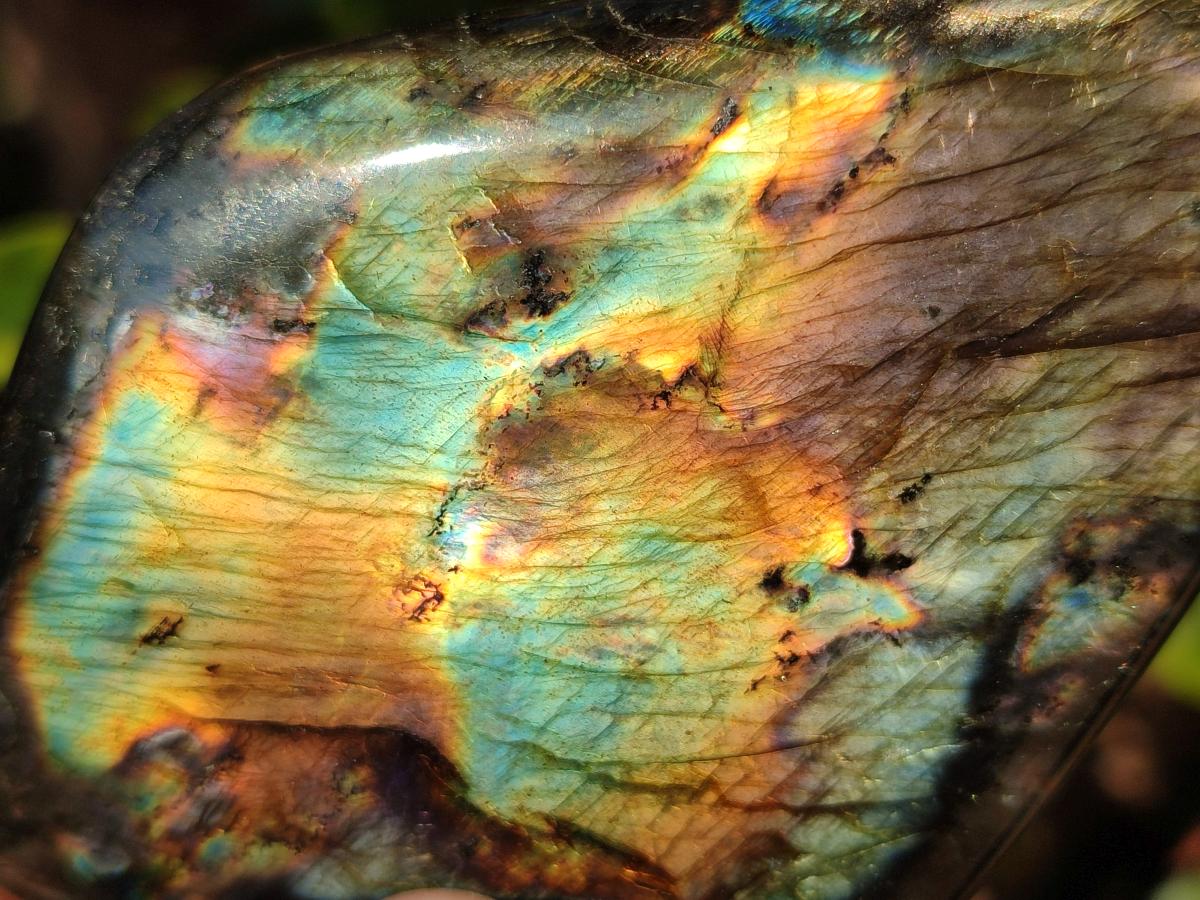 Polished Spectrolite Labradorite Standing Display Pieces x 3 From Madagascar - Toprock Gemstones and Minerals 