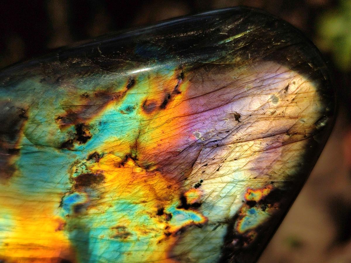 Polished Spectrolite Labradorite Standing Display Pieces x 3 From Madagascar - Toprock Gemstones and Minerals 