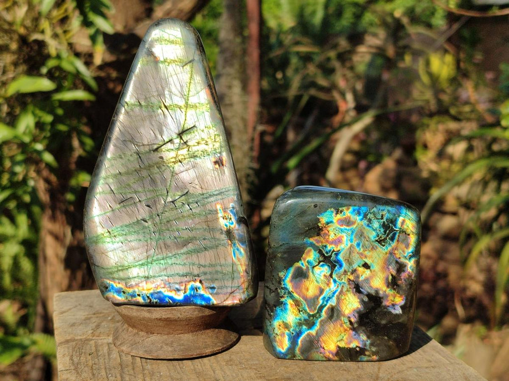 Polished Spectrolite Labradorite Standing Display Pieces x 3 From Madagascar - Toprock Gemstones and Minerals 