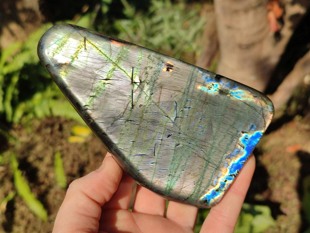 Polished Spectrolite Labradorite Standing Display Pieces x 3 From Madagascar - Toprock Gemstones and Minerals 