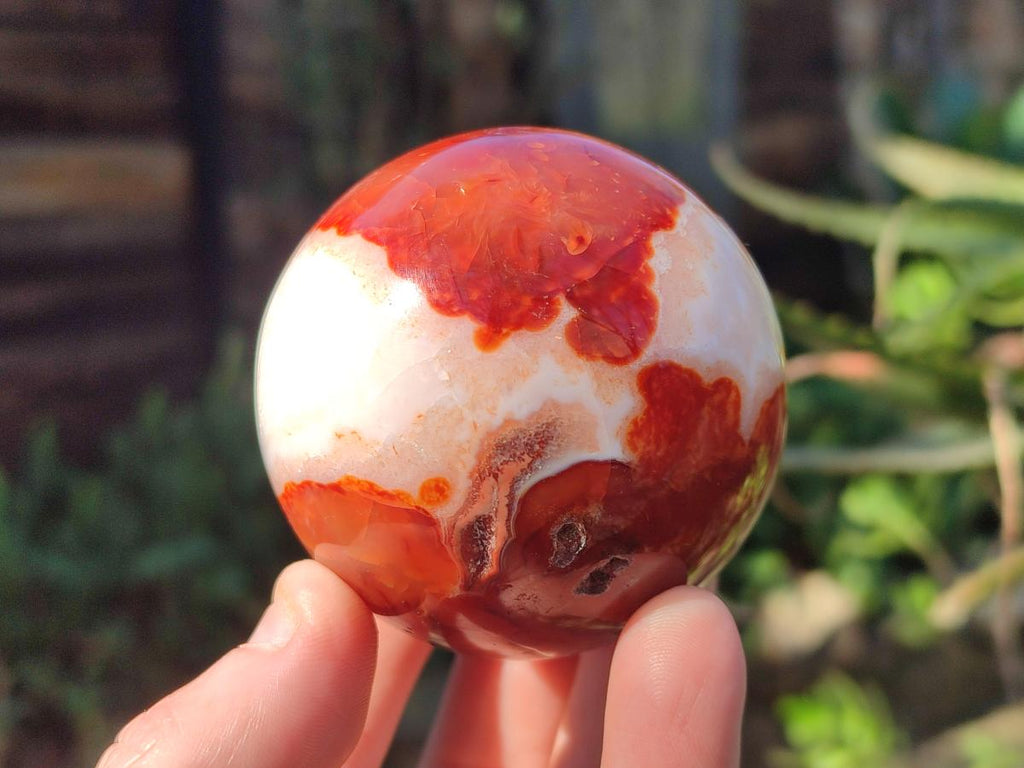 Polished Carnelian Agate Gemstone Spheres x 6 From Madagascar - Toprock Gemstones and Minerals 