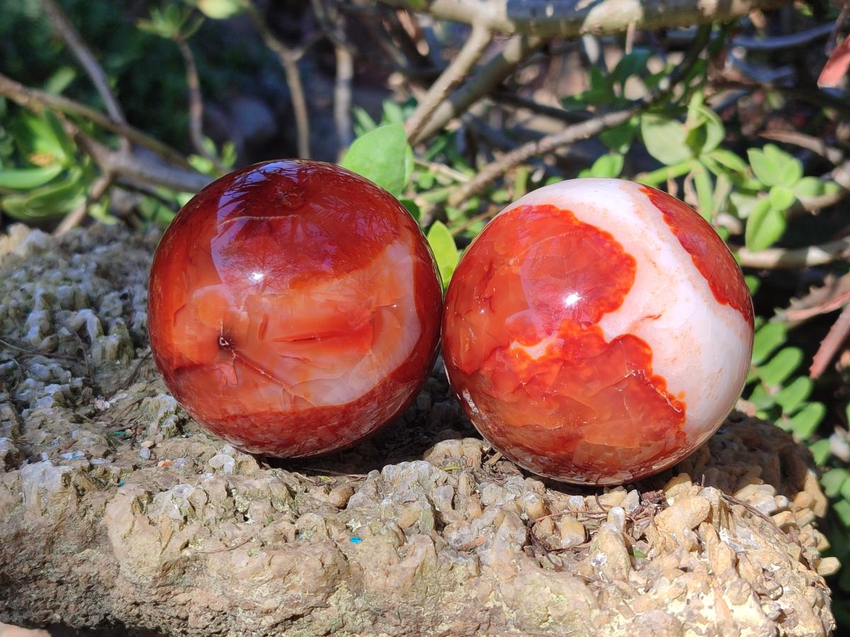 Polished Carnelian Agate Gemstone Spheres x 6 From Madagascar - Toprock Gemstones and Minerals 