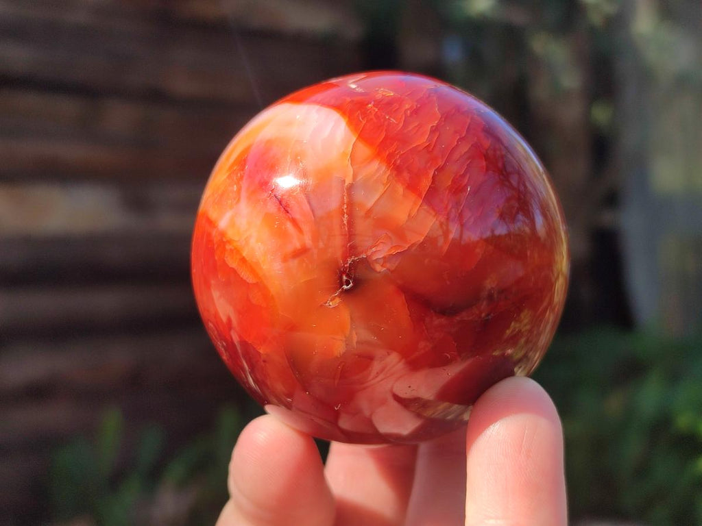 Polished Carnelian Agate Gemstone Spheres x 6 From Madagascar - Toprock Gemstones and Minerals 