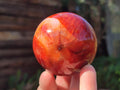 Polished Carnelian Agate Gemstone Spheres x 6 From Madagascar - Toprock Gemstones and Minerals 