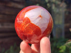 Polished Carnelian Agate Gemstone Spheres x 6 From Madagascar - Toprock Gemstones and Minerals 