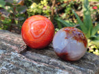 Polished Carnelian Agate Gemstone Spheres x 6 From Madagascar - Toprock Gemstones and Minerals 