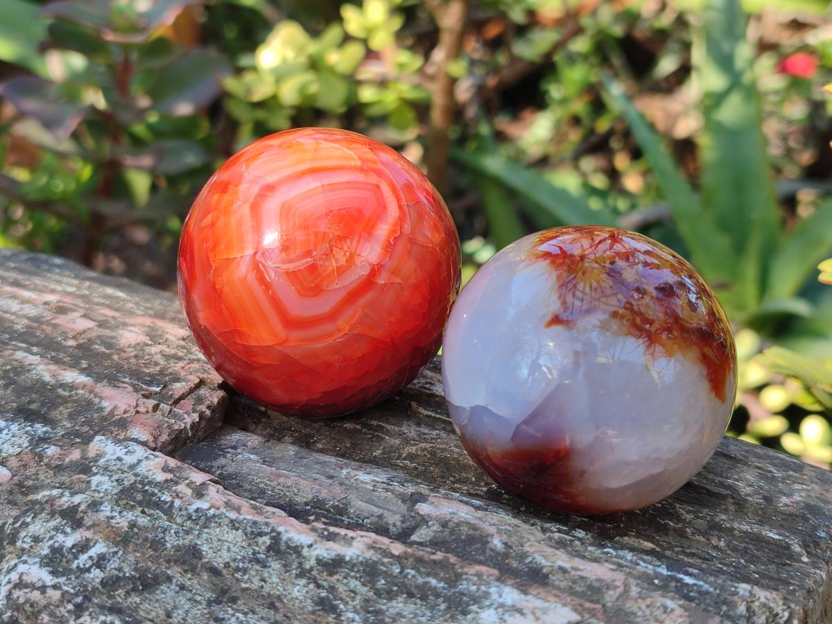 Polished Carnelian Agate Gemstone Spheres x 6 From Madagascar - Toprock Gemstones and Minerals 