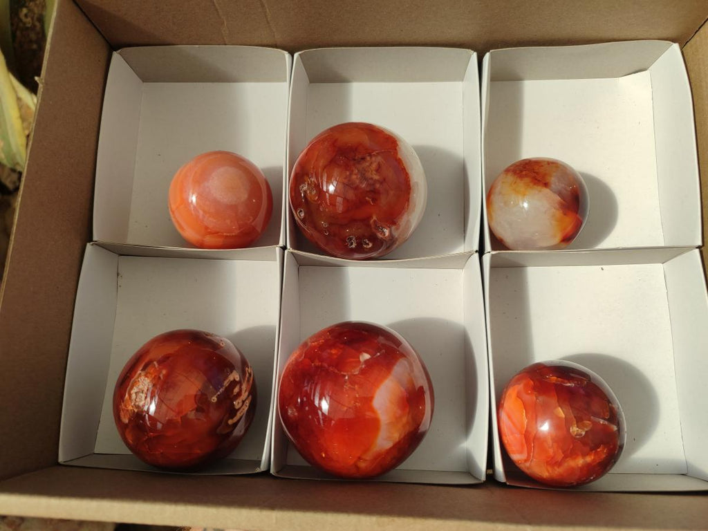 Polished Carnelian Agate Gemstone Spheres x 6 From Madagascar - Toprock Gemstones and Minerals 