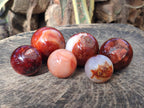 Polished Carnelian Agate Gemstone Spheres x 6 From Madagascar - Toprock Gemstones and Minerals 