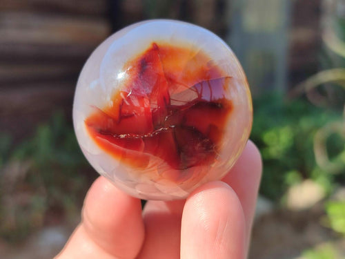 Polished Carnelian Agate Gemstone Spheres x 6 From Madagascar - Toprock Gemstones and Minerals 