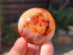 Polished Carnelian Agate Gemstone Spheres x 6 From Madagascar - Toprock Gemstones and Minerals 