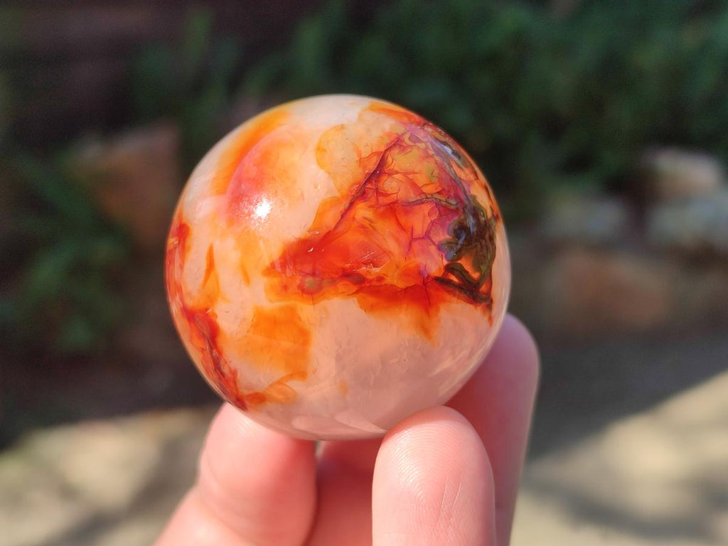 Polished Carnelian Agate Gemstone Spheres x 6 From Madagascar - Toprock Gemstones and Minerals 