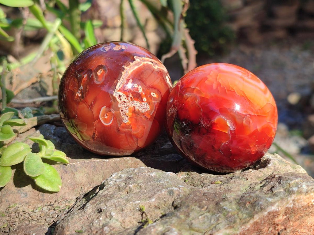 Polished Carnelian Agate Gemstone Spheres x 6 From Madagascar - Toprock Gemstones and Minerals 