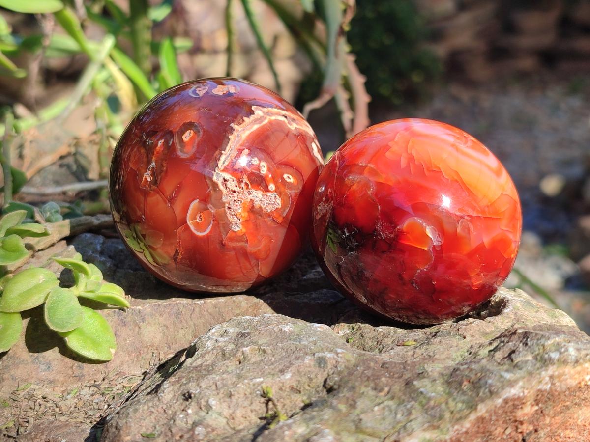 Polished Carnelian Agate Gemstone Spheres x 6 From Madagascar - Toprock Gemstones and Minerals 
