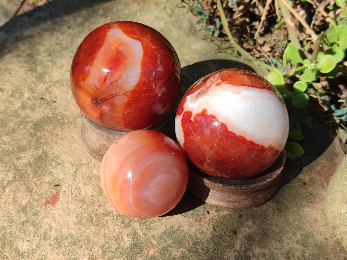 Polished Carnelian Agate Gemstone Spheres x 6 From Madagascar - Toprock Gemstones and Minerals 