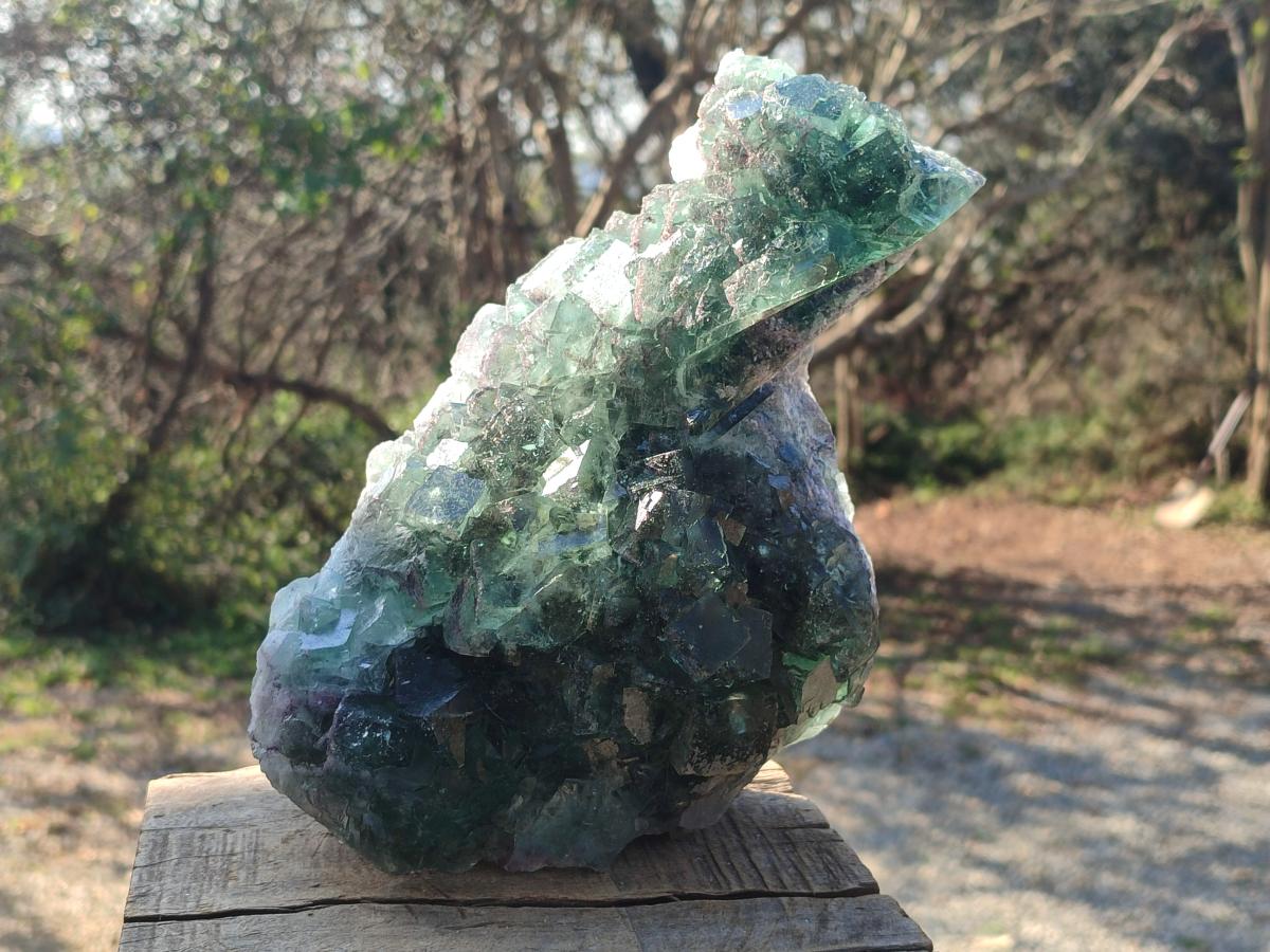 Natural Large Dark Green Okorusu Cubic Fluorite Specimen x 1 From Okorusu Mine, Namibia - Toprock Gemstones and Minerals 