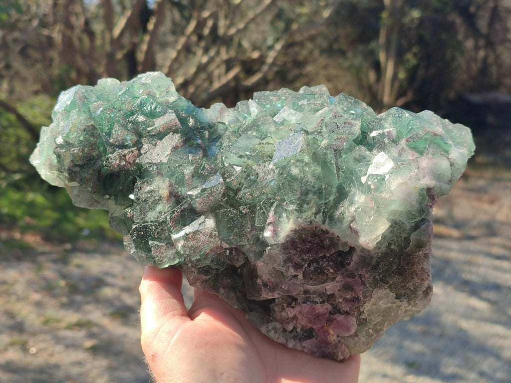 Natural Large Dark Green Okorusu Cubic Fluorite Specimen x 1 From Okorusu Mine, Namibia - Toprock Gemstones and Minerals 