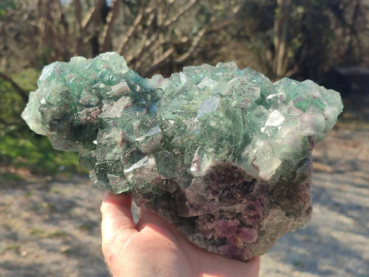 Natural Large Dark Green Okorusu Cubic Fluorite Specimen x 1 From Okorusu Mine, Namibia - Toprock Gemstones and Minerals 