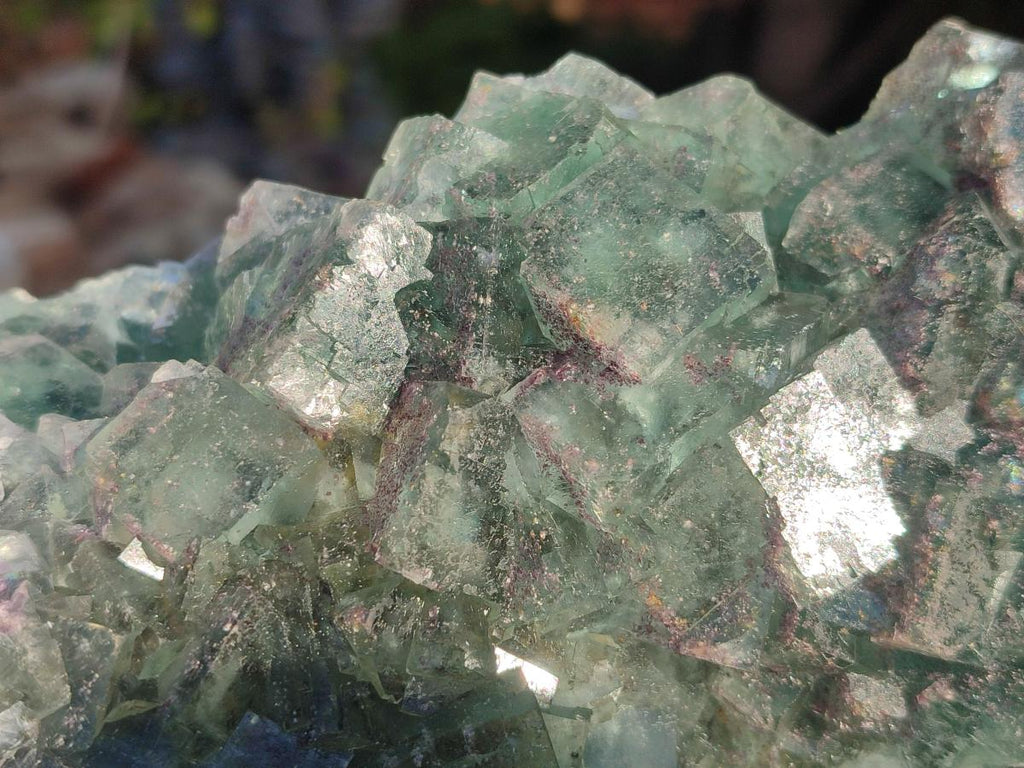 Natural Large Dark Green Okorusu Cubic Fluorite Specimen x 1 From Okorusu Mine, Namibia - Toprock Gemstones and Minerals 