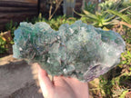 Natural Large Dark Green Okorusu Cubic Fluorite Specimen x 1 From Okorusu Mine, Namibia - Toprock Gemstones and Minerals 