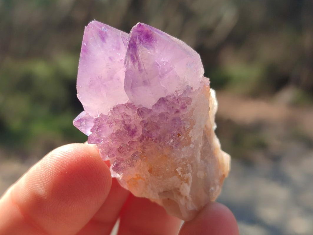 Natural Spirit Amethyst Crystals and Clusters x 76 From Boekenhouthoek, South Africa - Toprock Gemstones and Minerals 