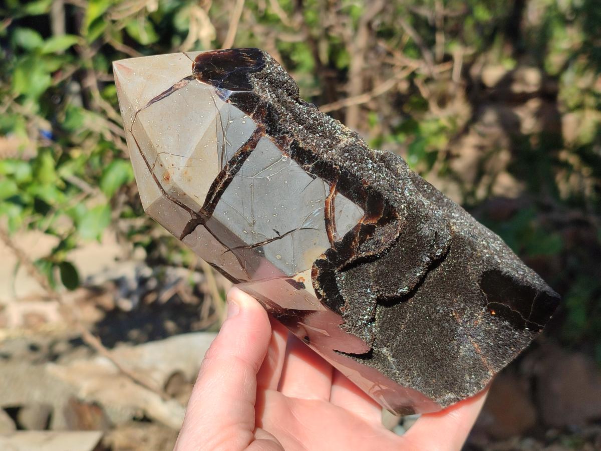 Polished and Natural Septerye Sauvage Display Crystals x 2 From Mahajanga, Madagascar - Toprock Gemstones and Minerals 