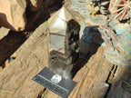 Polished and Natural Septerye Sauvage Display Crystals x 2 From Mahajanga, Madagascar - Toprock Gemstones and Minerals 