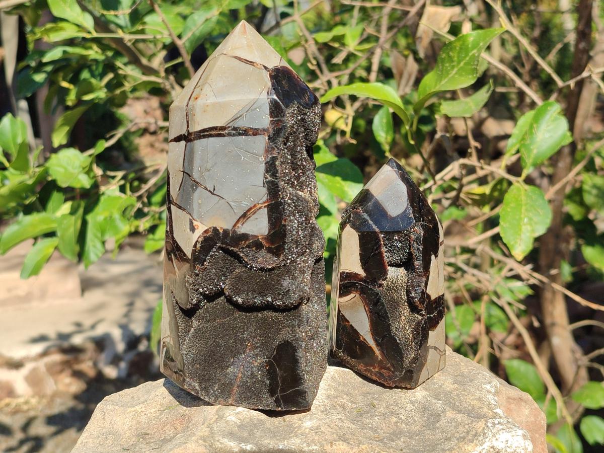 Polished and Natural Septerye Sauvage Display Crystals x 2 From Mahajanga, Madagascar - Toprock Gemstones and Minerals 