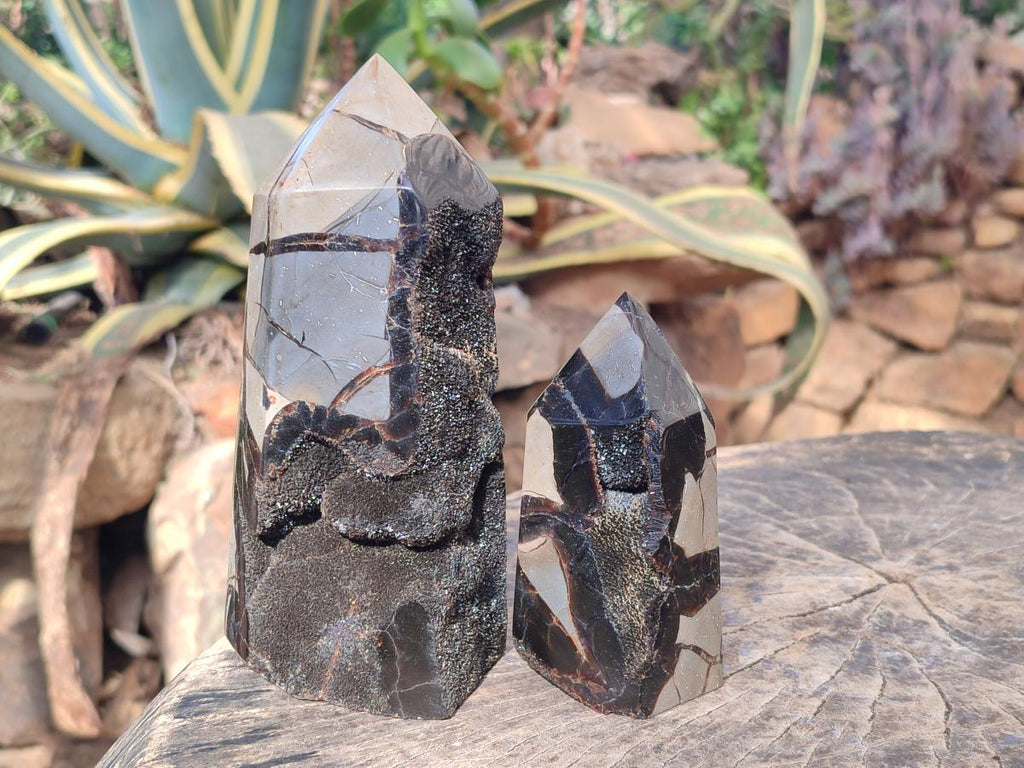 Polished and Natural Septerye Sauvage Display Crystals x 2 From Mahajanga, Madagascar - Toprock Gemstones and Minerals 