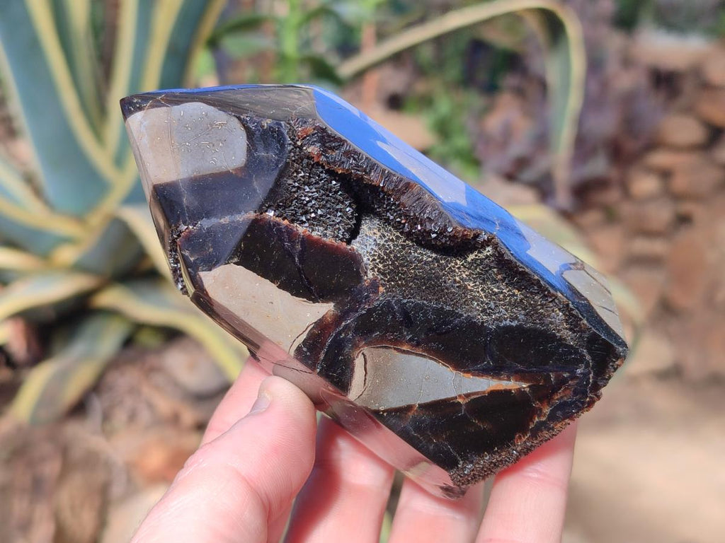 Polished and Natural Septerye Sauvage Display Crystals x 2 From Mahajanga, Madagascar - Toprock Gemstones and Minerals 