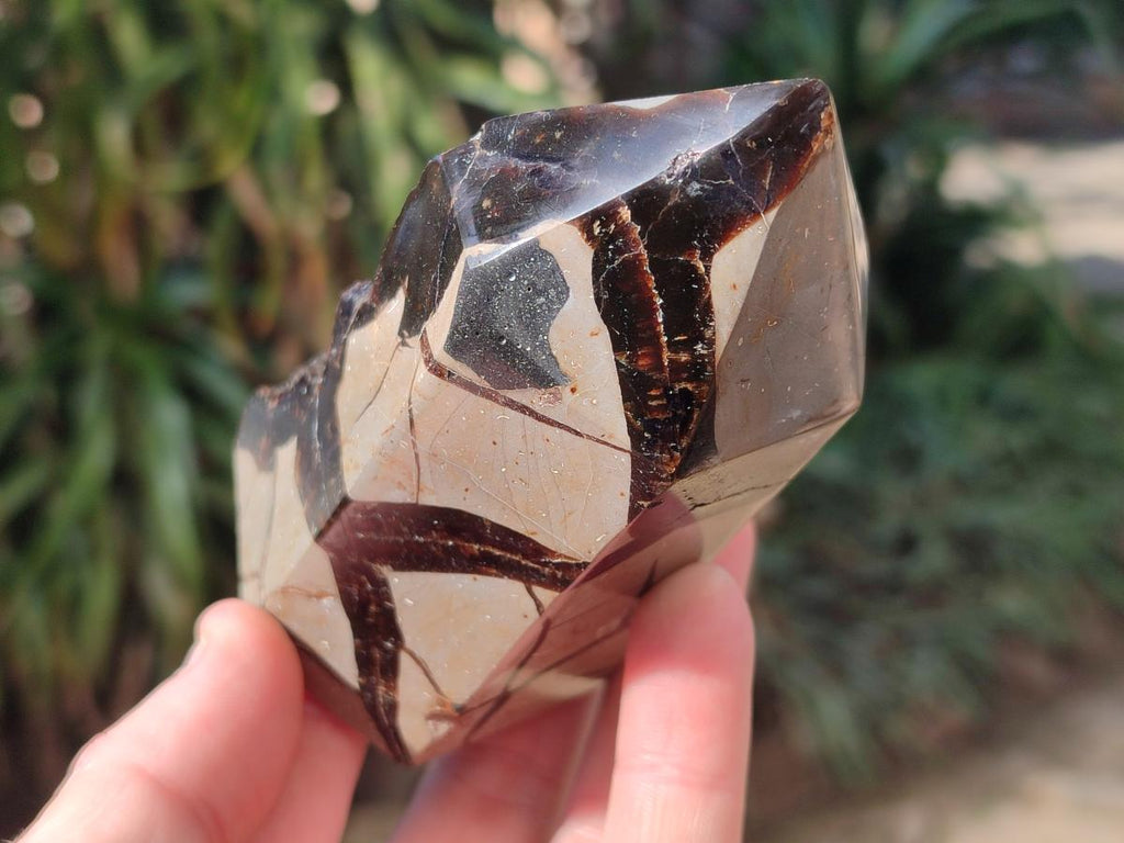 Polished and Natural Septerye Sauvage Display Crystals x 2 From Mahajanga, Madagascar - Toprock Gemstones and Minerals 