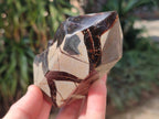 Polished and Natural Septerye Sauvage Display Crystals x 2 From Mahajanga, Madagascar - Toprock Gemstones and Minerals 