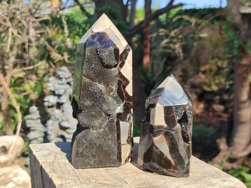 Polished and Natural Septerye Sauvage Display Crystals x 2 From Mahajanga, Madagascar - Toprock Gemstones and Minerals 