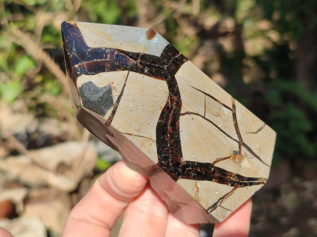 Polished and Natural Septerye Sauvage Display Crystals x 2 From Mahajanga, Madagascar - Toprock Gemstones and Minerals 