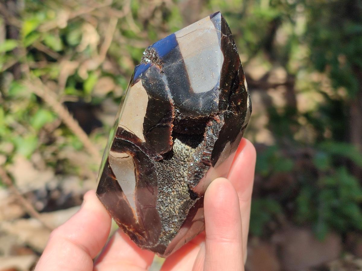 Polished and Natural Septerye Sauvage Display Crystals x 2 From Mahajanga, Madagascar - Toprock Gemstones and Minerals 