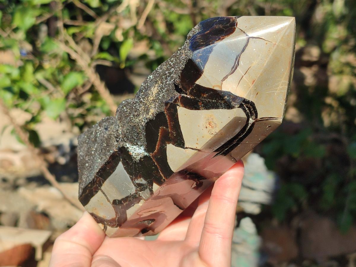 Polished and Natural Septerye Sauvage Display Crystals x 2 From Mahajanga, Madagascar - Toprock Gemstones and Minerals 