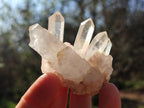 Natural Malagasy Clear Quartz Clusters x 15 From Madagascar - Toprock Gemstones and Minerals 