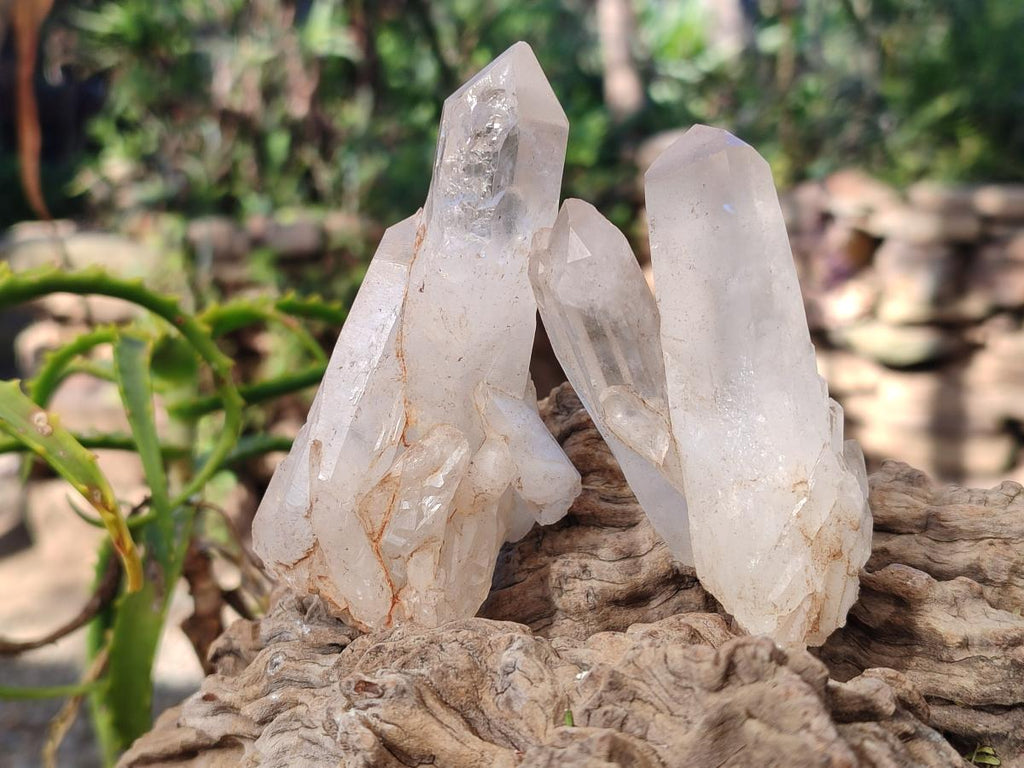 Natural Malagasy Clear Quartz Clusters x 15 From Madagascar - Toprock Gemstones and Minerals 