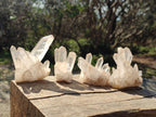 Natural Malagasy Clear Quartz Clusters x 15 From Madagascar - Toprock Gemstones and Minerals 