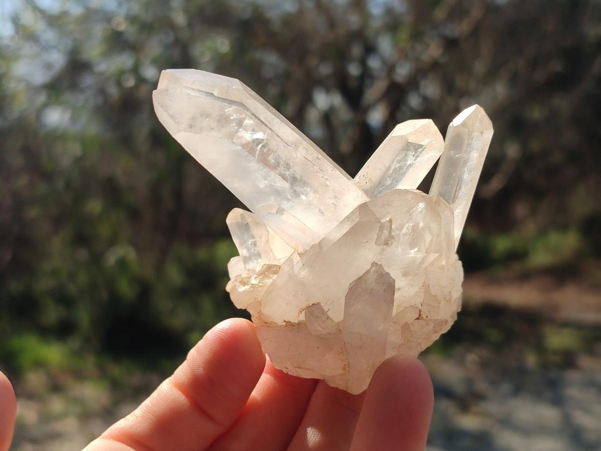 Natural Malagasy Clear Quartz Clusters x 15 From Madagascar - Toprock Gemstones and Minerals 